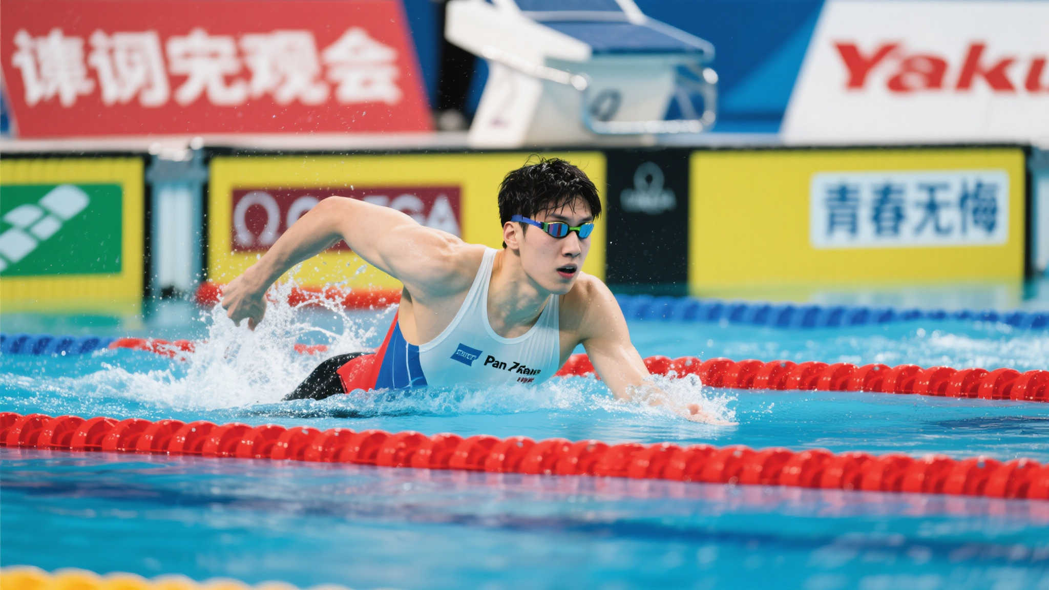 不仅是个人 不仅是个人