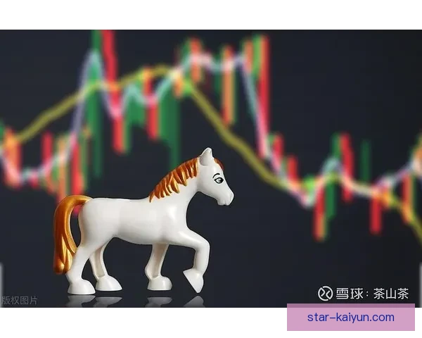 米特罗维奇持续提升表现，稳健的风格引发广泛关注